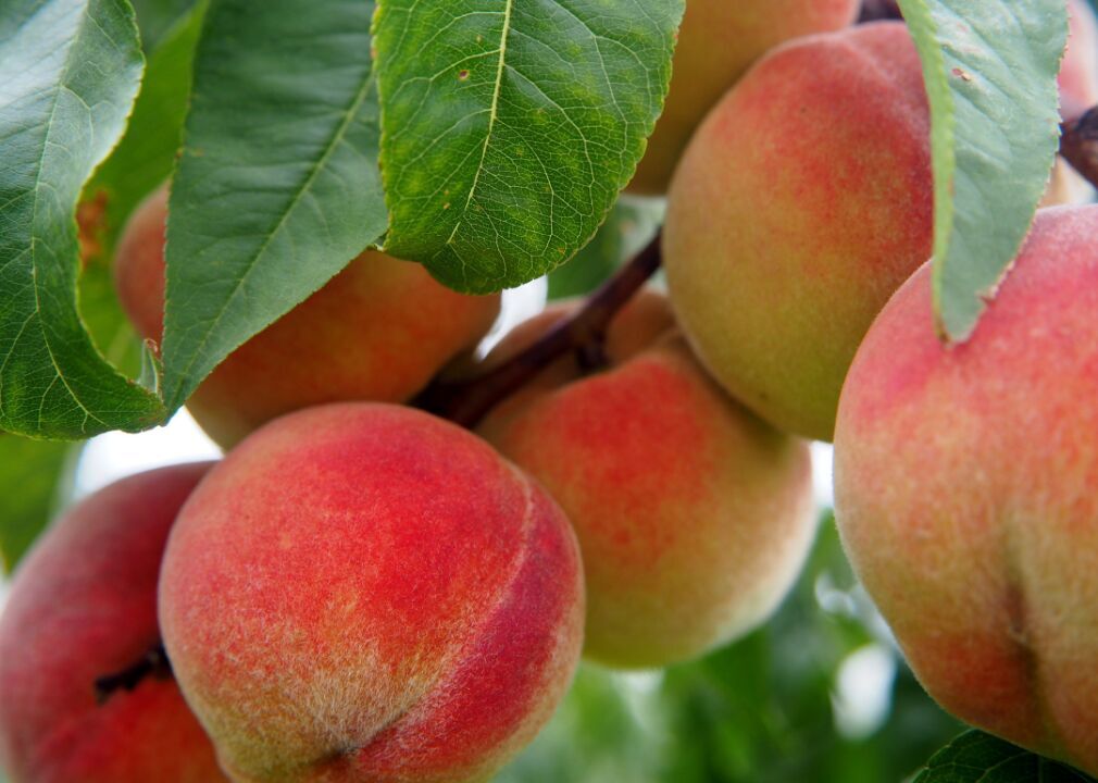 Keep peaches in the fridge once ripe